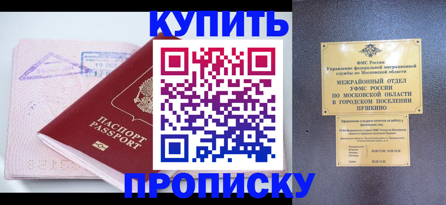 прописка 2025 в Петропавловске-Камчатском